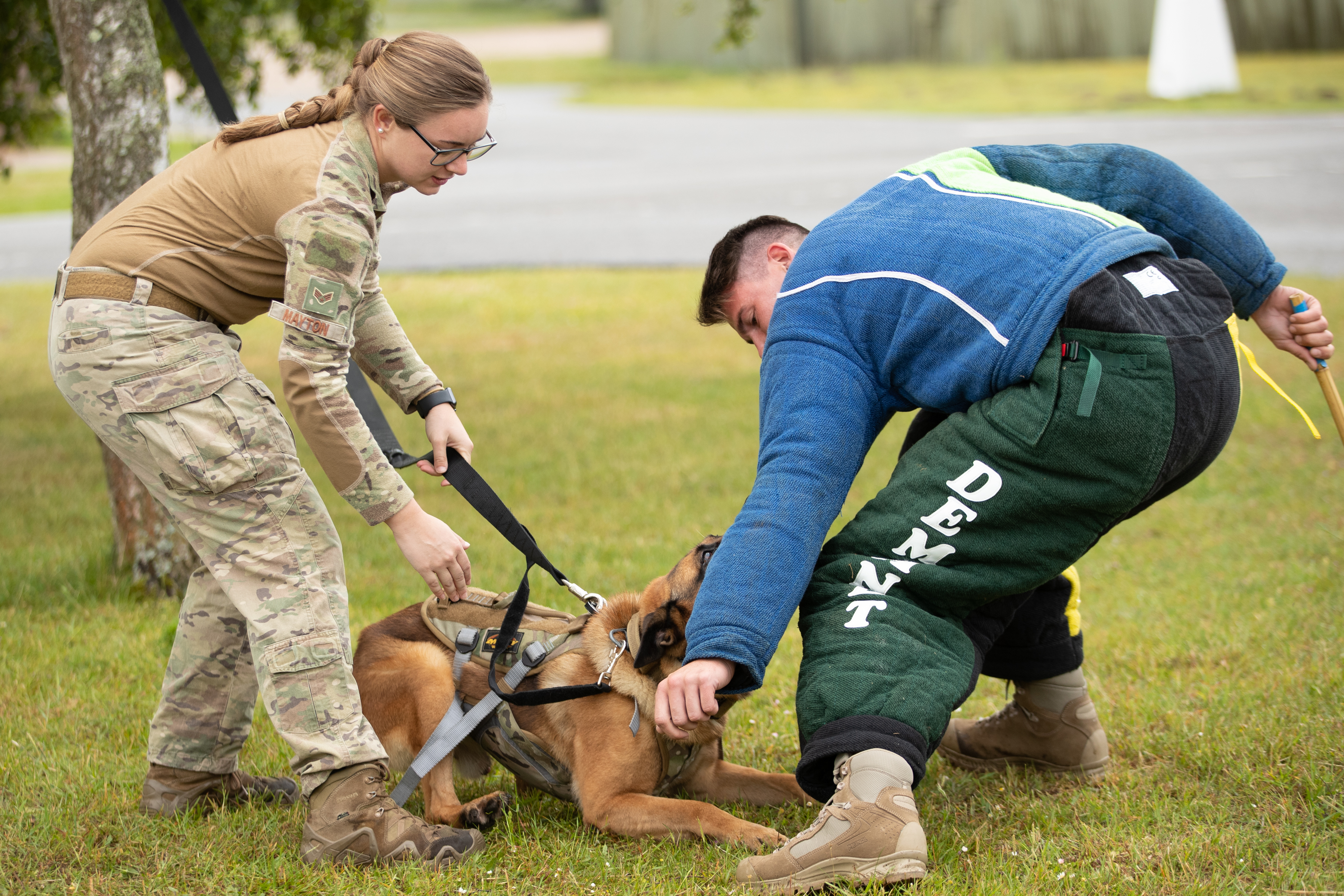 RAF Police work with military working dog.
